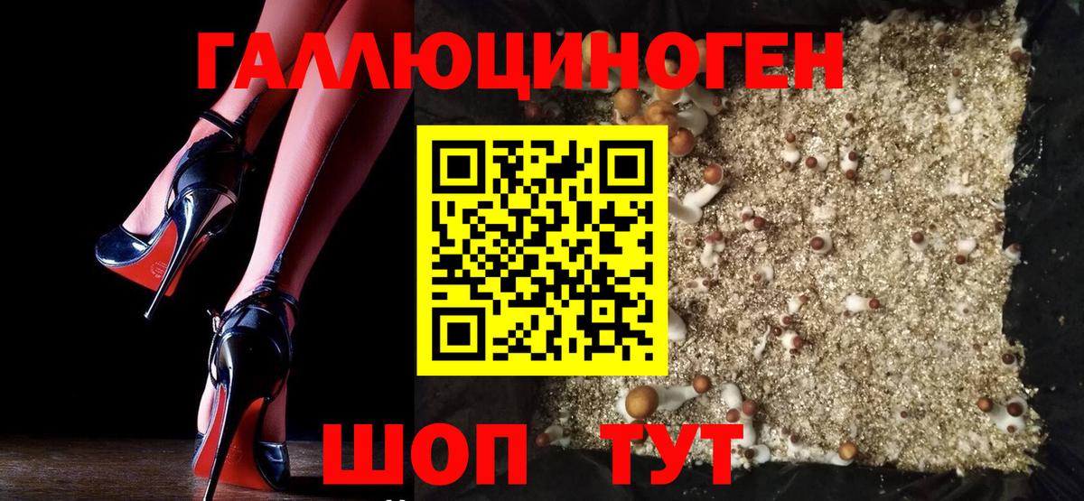 Галлюциногенные грибы Magic Shrooms  Галлюциногенные грибы Psilocybe  Можга  Вход с VPN 